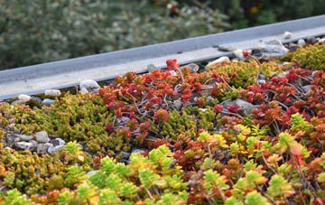 the cost of Wester Broomhouse green roof installation