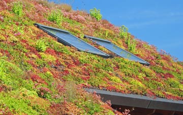 Wester Broomhouse living roof systems