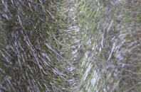 Wester Broomhouse fibreglass roof work